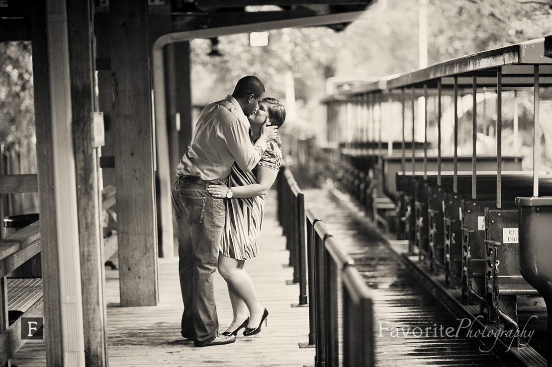 Jacksonville Zoo and Gardens Engagement Photography