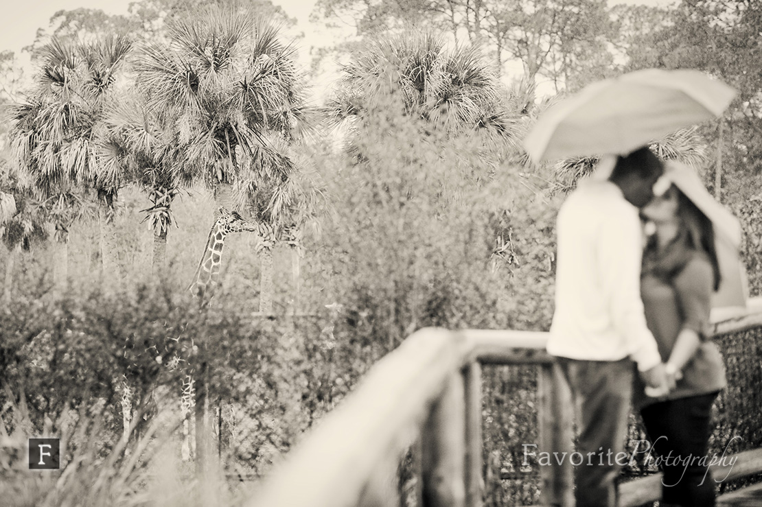 Jacksonville Zoo and Gardens Engagement Photography