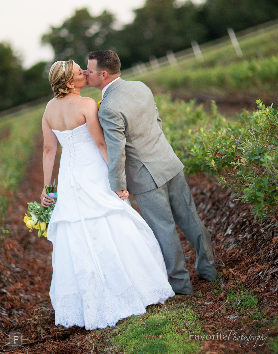 Southern Country Wedding Photographer