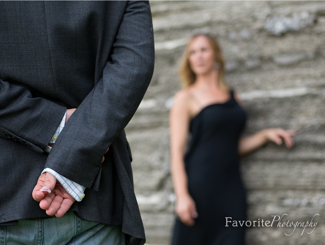 Proposal Engagement Photo