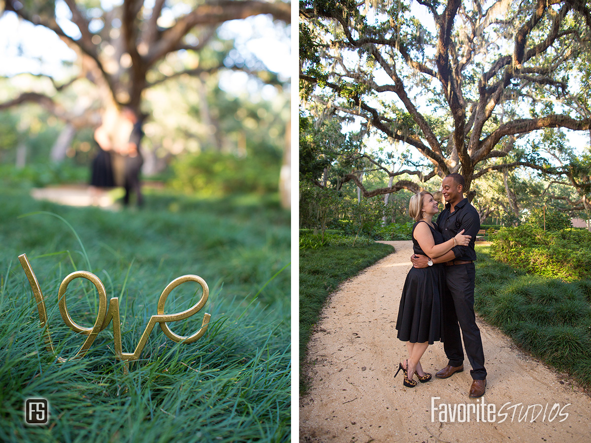 Engagement Photographer