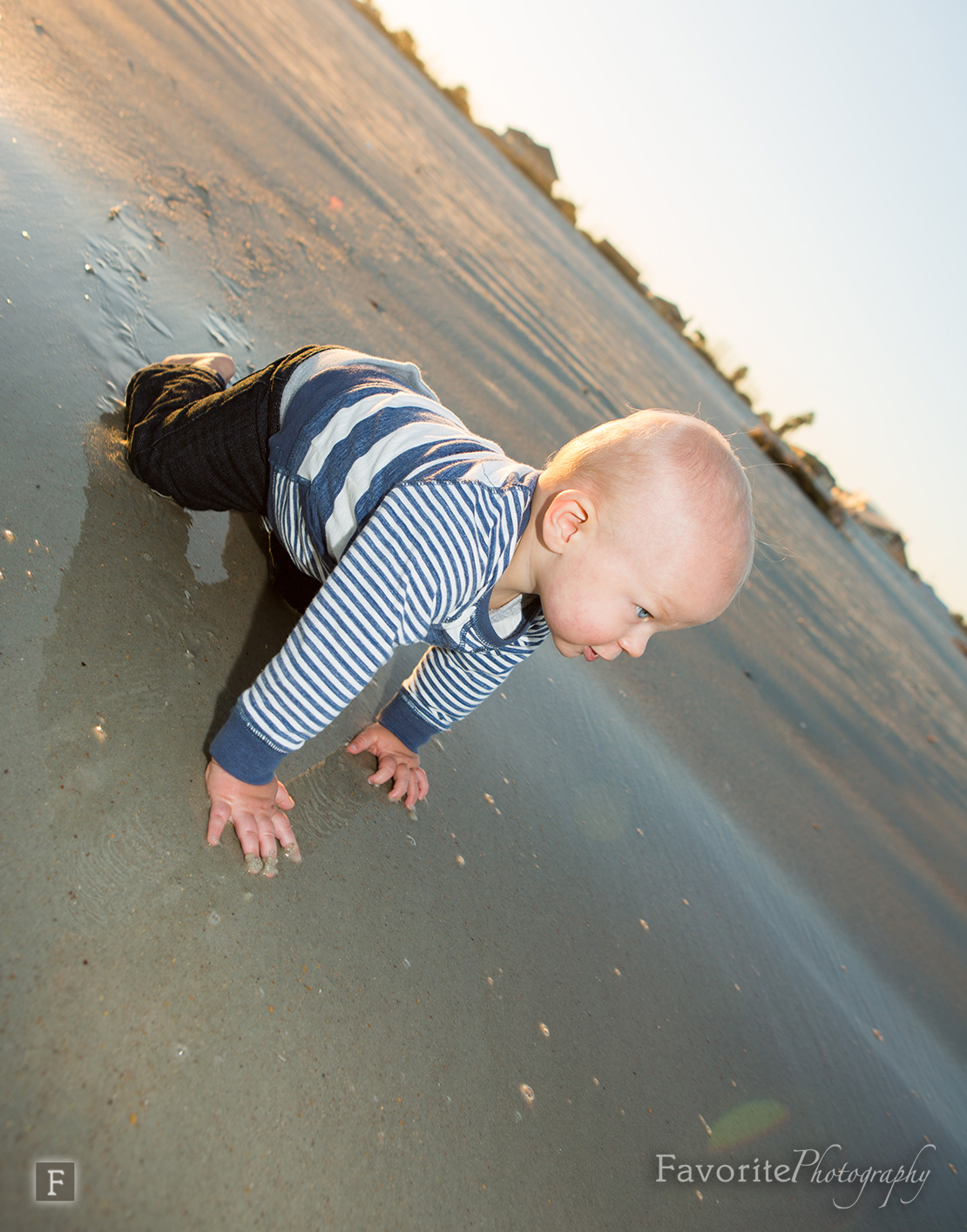 Lifestyle Family Photographer