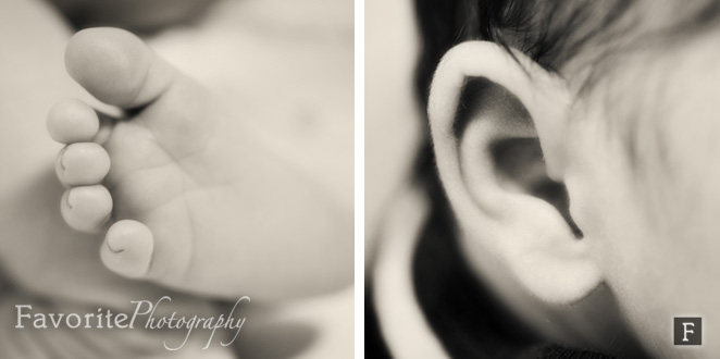 Jacksonville Florida Baby Photographer