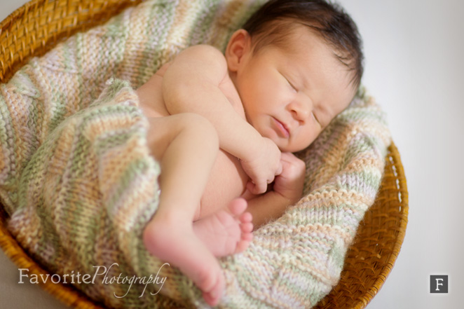 Jacksonville Newborn Baby Photography
