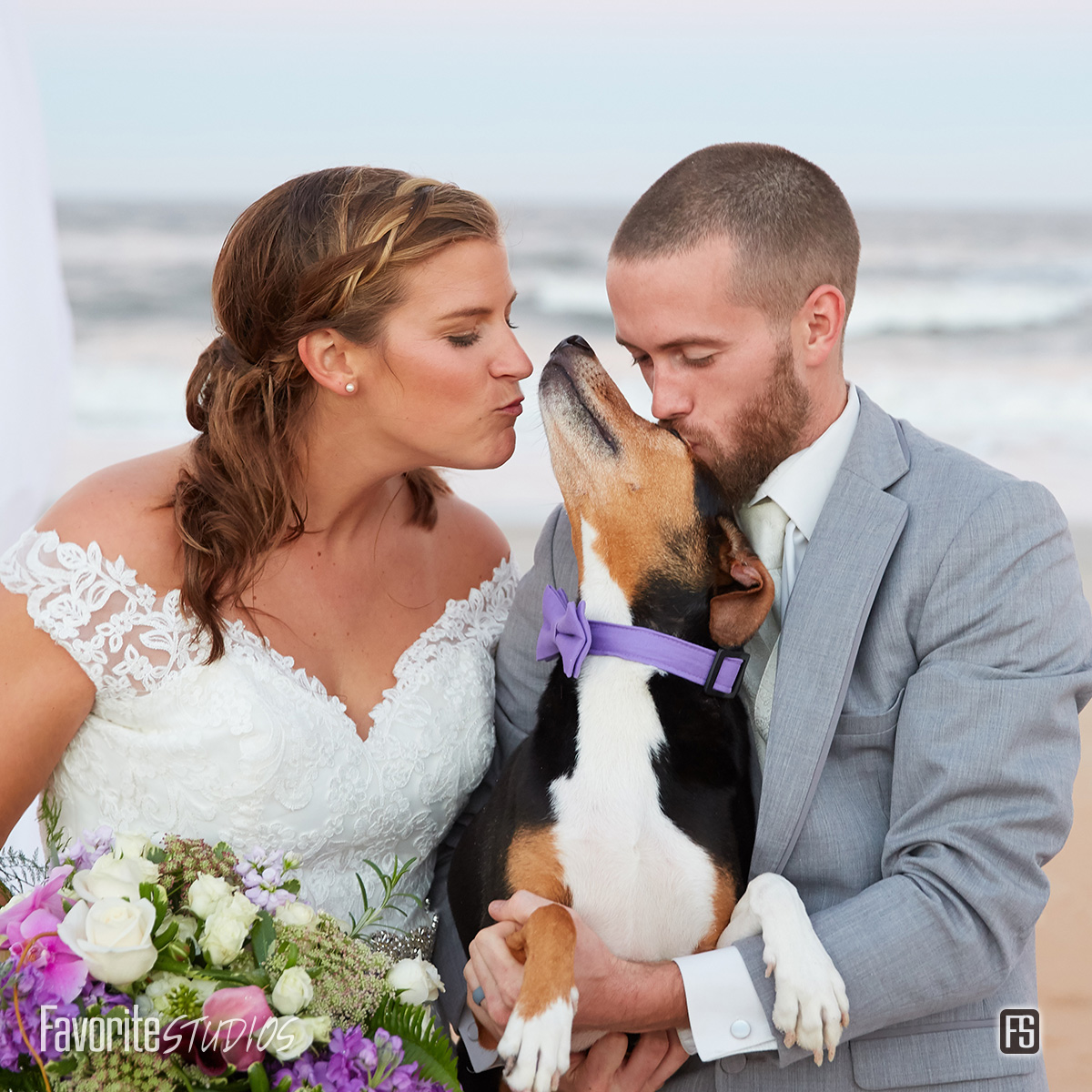 Dog with Bride and Groom Wedding Photography and Cinematography