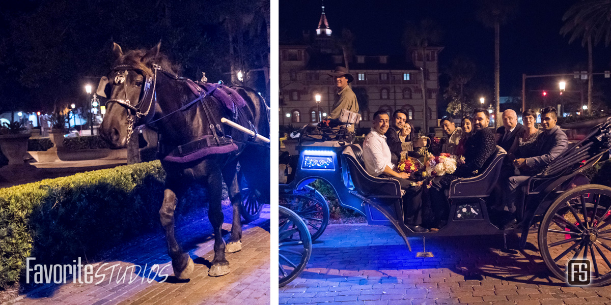 Guests Exit on Horse Drawn Carriages - St Augustine Wedding Photographer