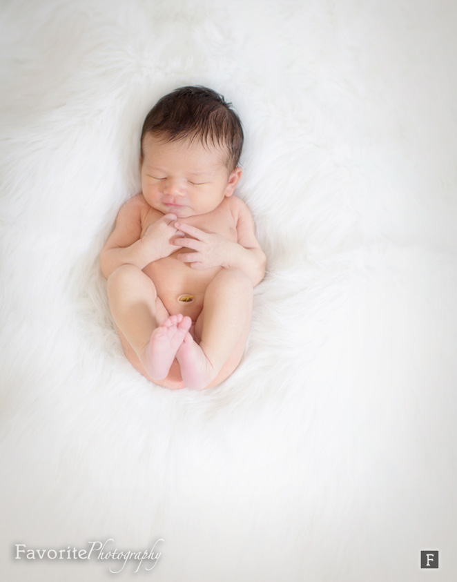 Jacksonville Newborn Baby Photography