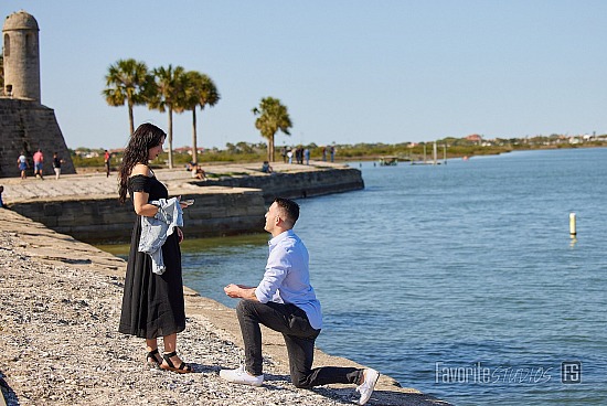 Surprise Proposal and Engagement Party Video and Photos